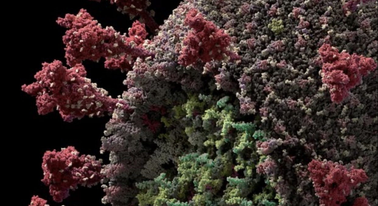Reprodução em 3D do modelo do novo coronavírus (Sars-CoV-2) - Foto: Reprodução/Visual Science